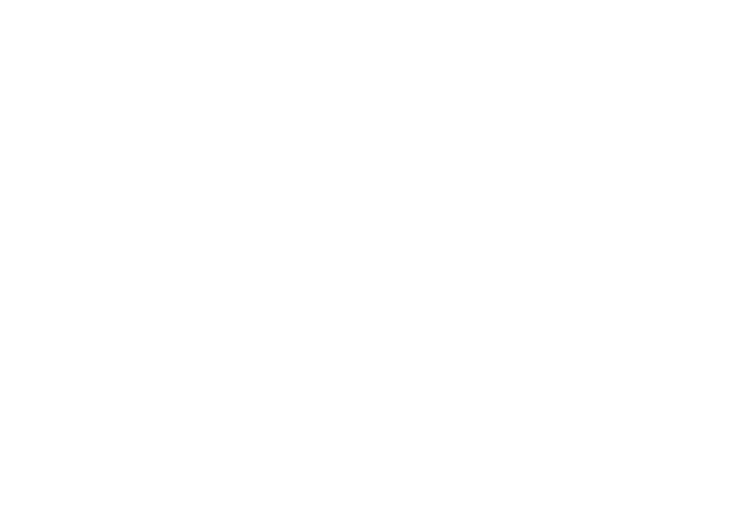 Official Selection of the 30ᵗʰ annual St. Louis International Film Festival